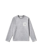 Gris Cendré